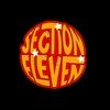 section11